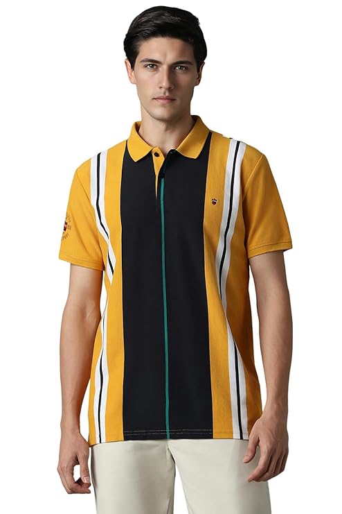 Louis Philippe Men's Striped Slim Fit T-Shirt